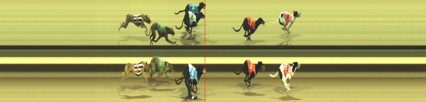 Photo finish for Warragul Race 7