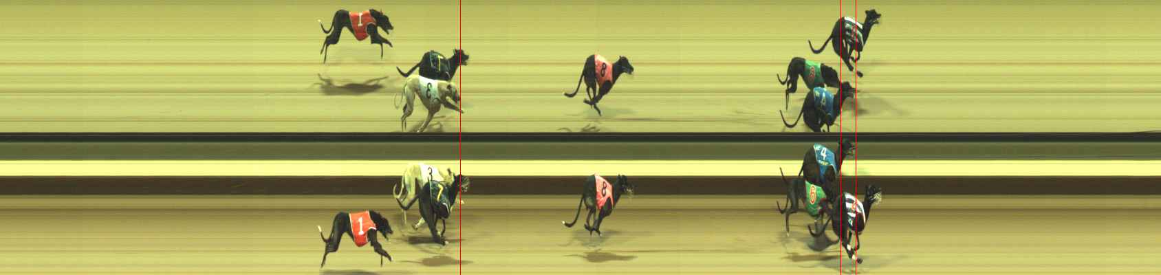 Photo finish for Warragul Race 8