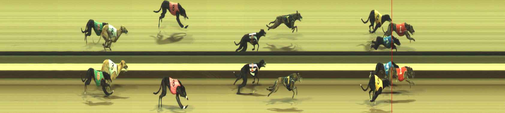 Photo finish for Warragul Race 9