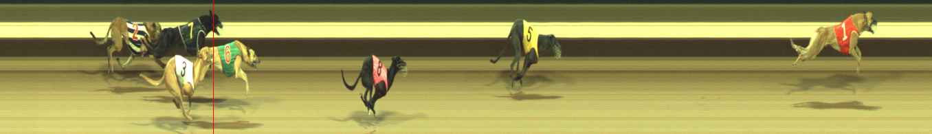 Photo finish for Warragul Race 10