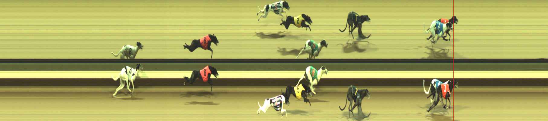 Photo finish for Warragul Race 11