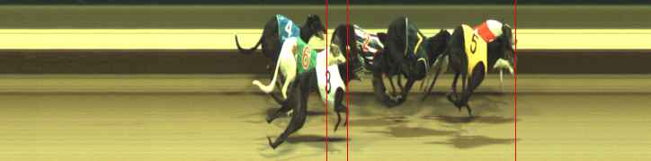 Photo finish for Warragul Race 12