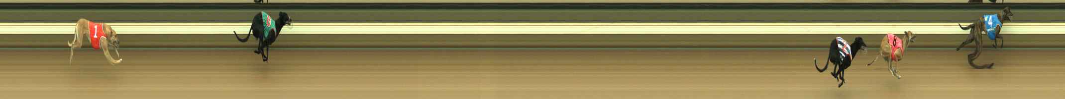 Photo finish for Warragul Race 1