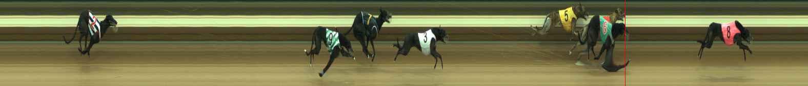 Photo finish for Warragul Race 4