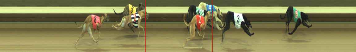 Photo finish for Warragul Race 5