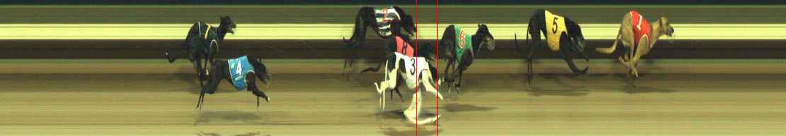 Photo finish for Warragul Race 7