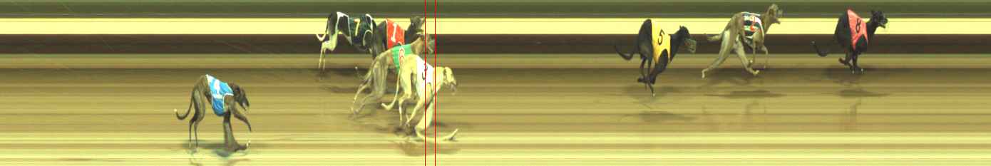 Photo finish for Warragul Race 8