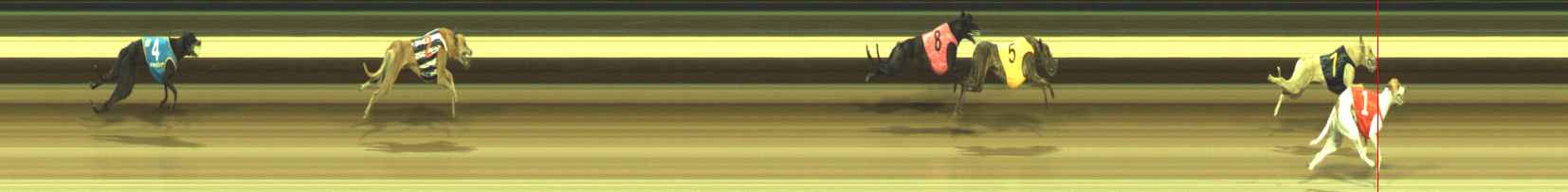 Photo finish for Warragul Race 9