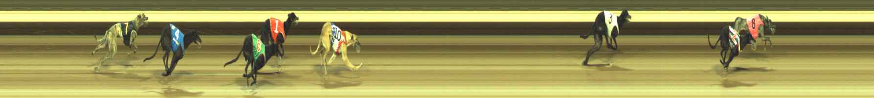 Photo finish for Warragul Race 11