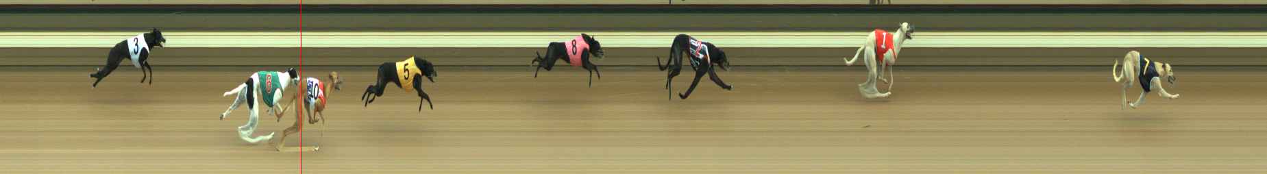 Photo finish for Warragul Race 2