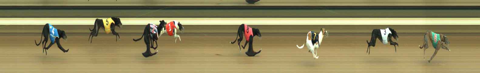 Photo finish for Warragul Race 3