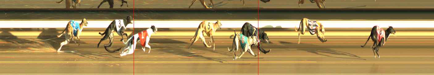 Photo finish for Warragul Race 4