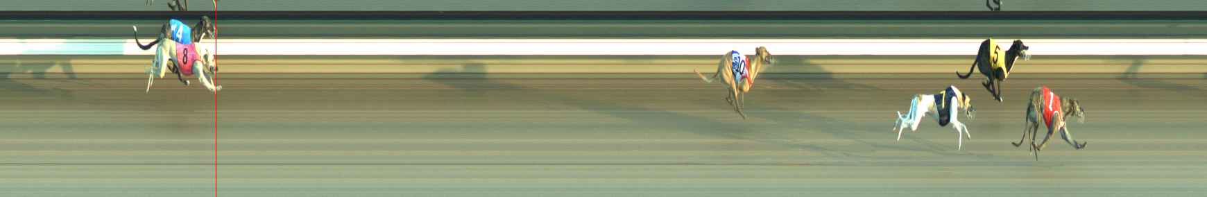 Photo finish for Warragul Race 5
