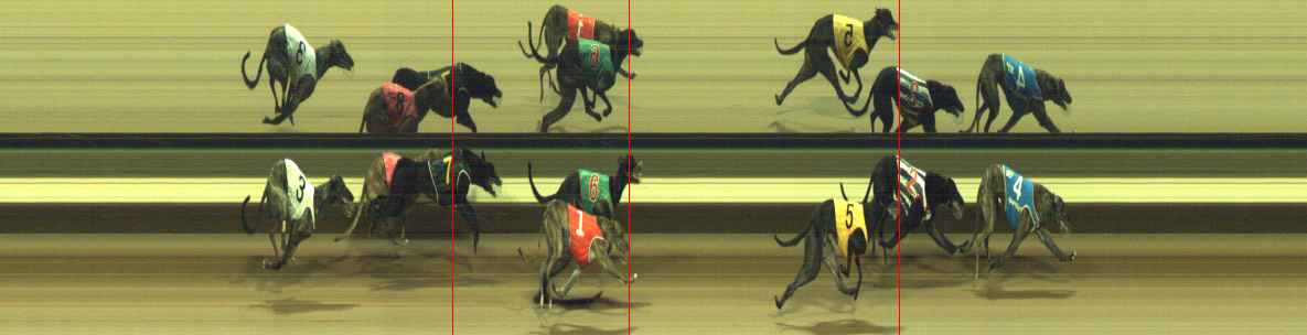 Photo finish for Warragul Race 7