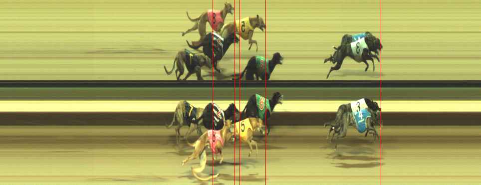 Photo finish for Warragul Race 12