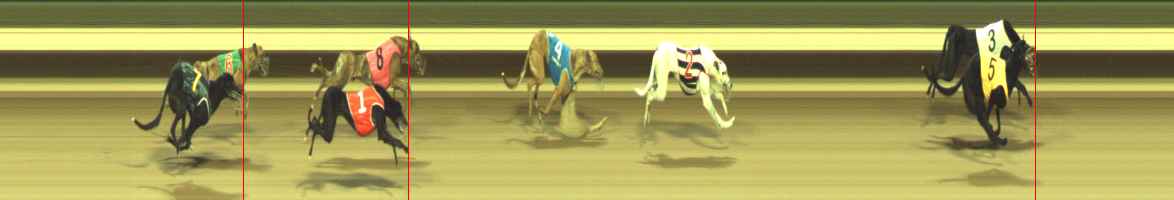 Photo finish for Warragul Race 1