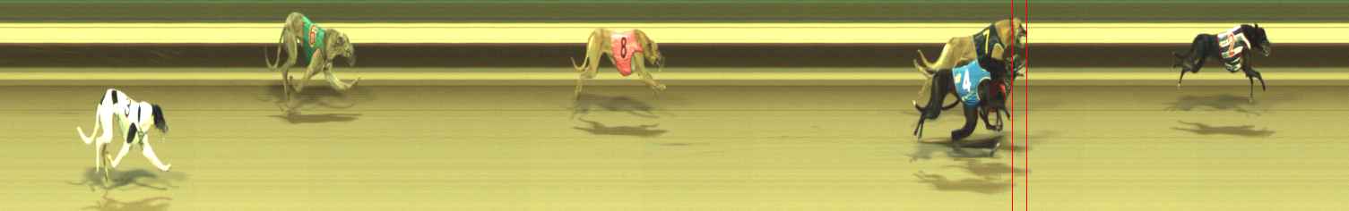 Photo finish for Warragul Race 2