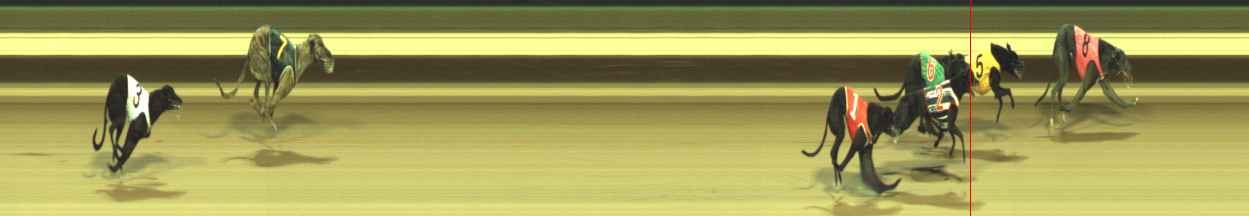 Photo finish for Warragul Race 3