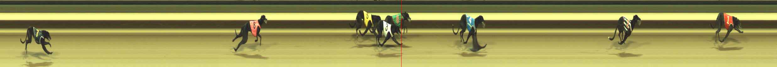 Photo finish for Warragul Race 4