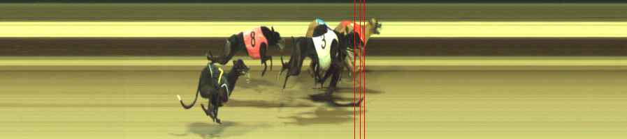 Photo finish for Warragul Race 5