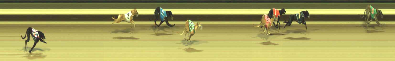 Photo finish for Warragul Race 6