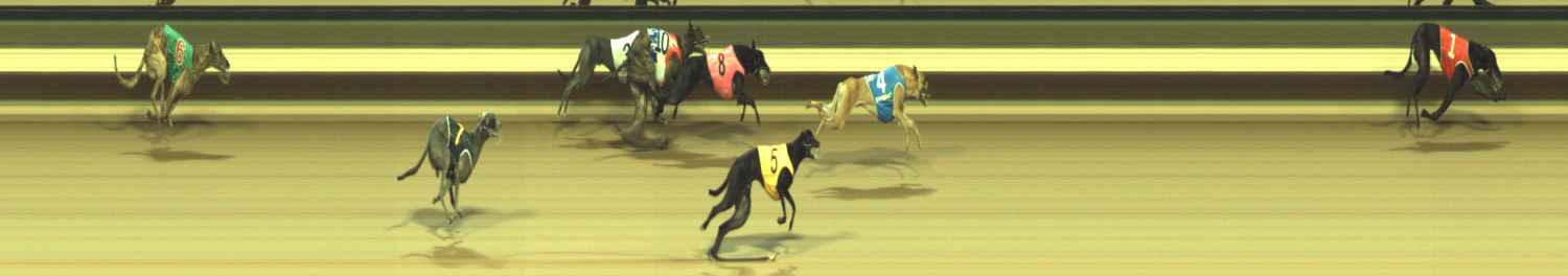 Photo finish for Warragul Race 8