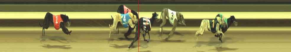 Photo finish for Warragul Race 9