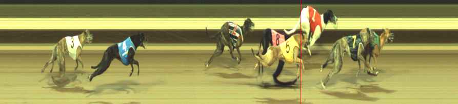 Photo finish for Warragul Race 10
