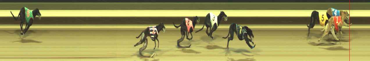 Photo finish for Warragul Race 11