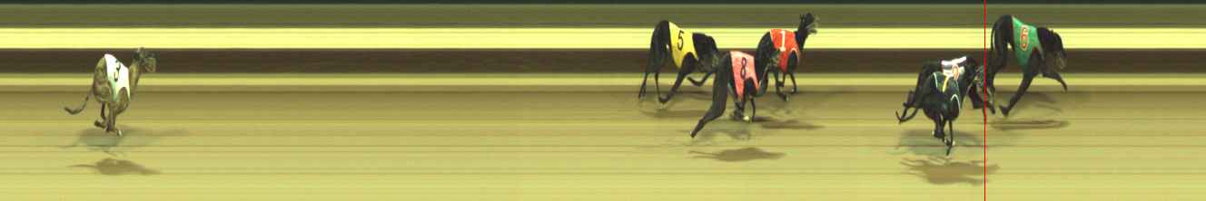 Photo finish for Warragul Race 12