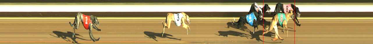 Photo finish for Warragul Race 1