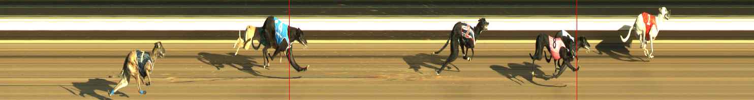Photo finish for Warragul Race 2