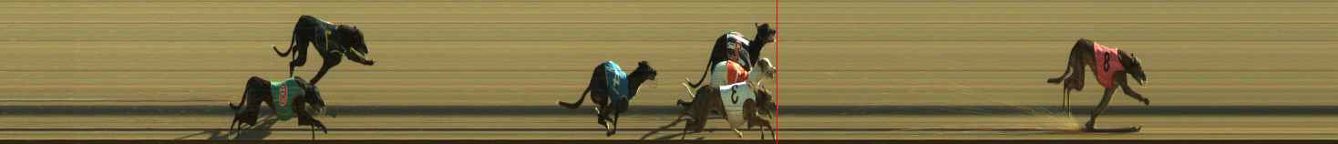 Photo finish for Warragul Race 4