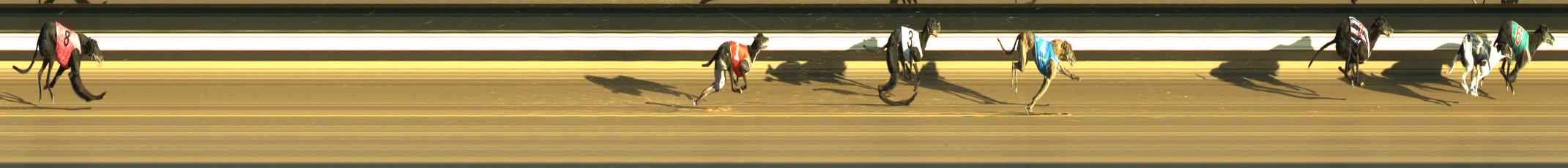 Photo finish for Warragul Race 5