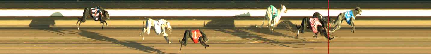 Photo finish for Warragul Race 6
