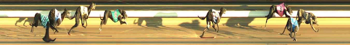 Photo finish for Warragul Race 7