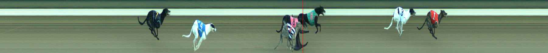 Photo finish for Warragul Race 8