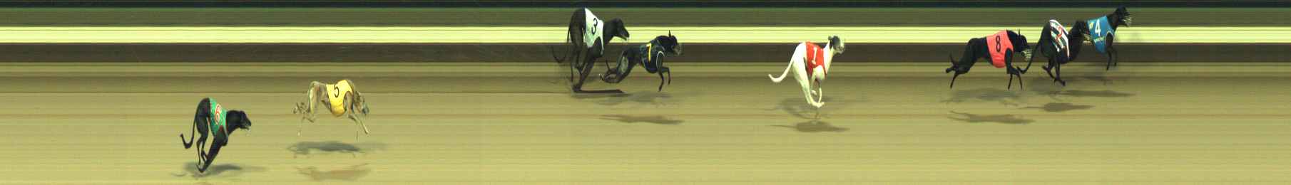 Photo finish for Warragul Race 9