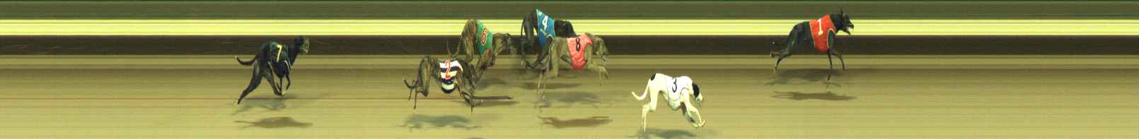 Photo finish for Warragul Race 10
