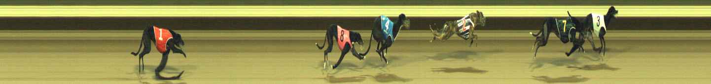 Photo finish for Warragul Race 11