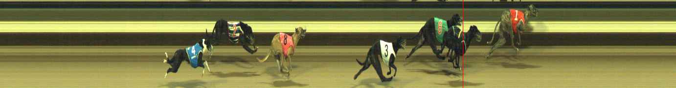 Photo finish for Warragul Race 12