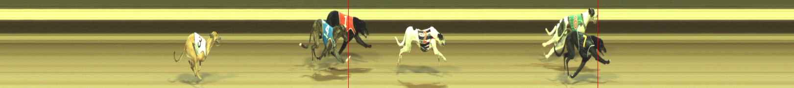 Photo finish for Warragul Race 2