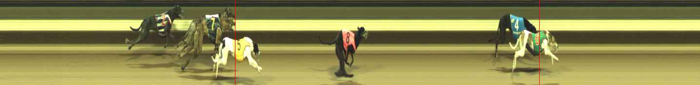 Photo finish for Warragul Race 3