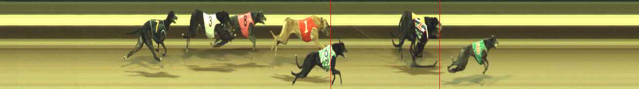Photo finish for Warragul Race 4