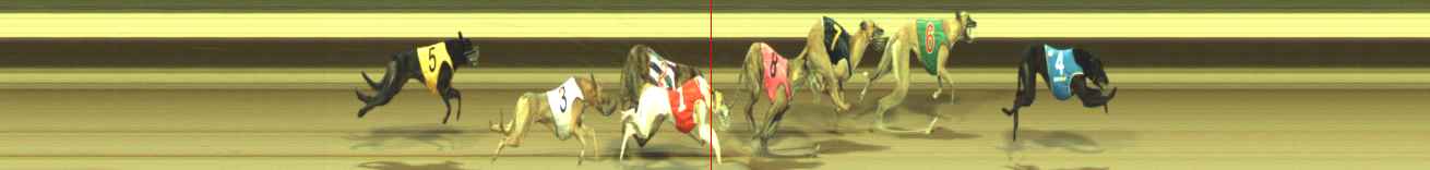 Photo finish for Warragul Race 5