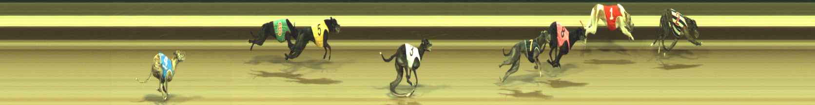 Photo finish for Warragul Race 8