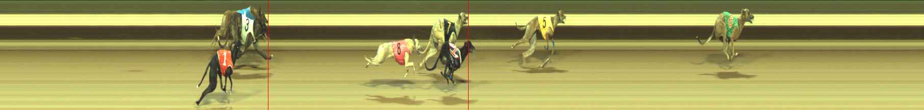 Photo finish for Warragul Race 9