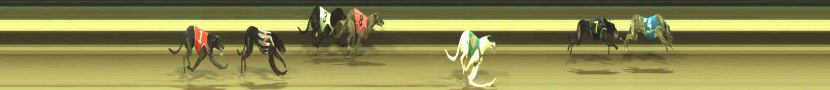 Photo finish for Warragul Race 10