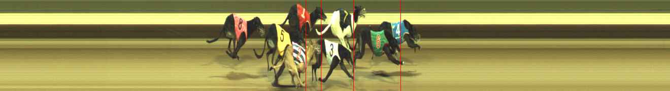 Photo finish for Warragul Race 11