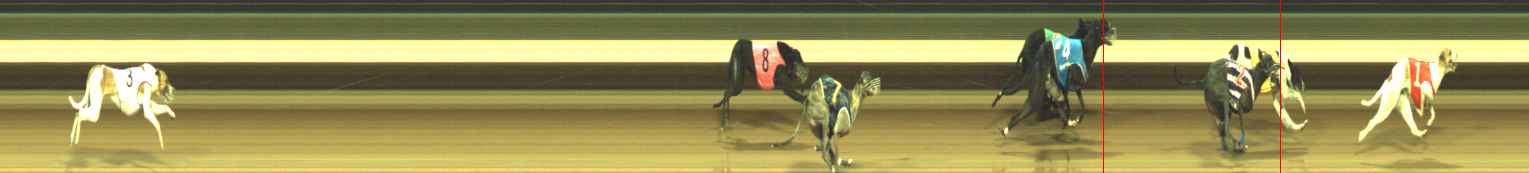 Photo finish for Warragul Race 12